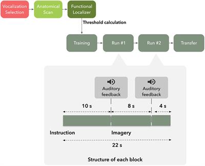 Directly Exploring the Neural Correlates of Feedback-Related Reward Saliency and Valence During Real-Time fMRI-Based Neurofeedback